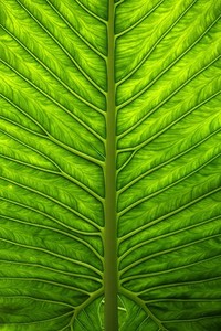 波尔多主场击败甘冈，取得三分